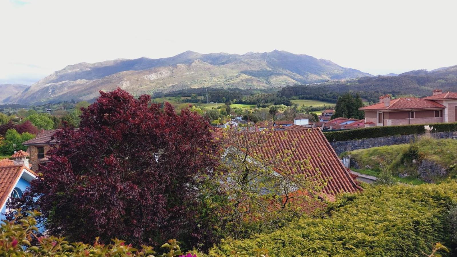 La Cubillana Villa Colunga Dış mekan fotoğraf